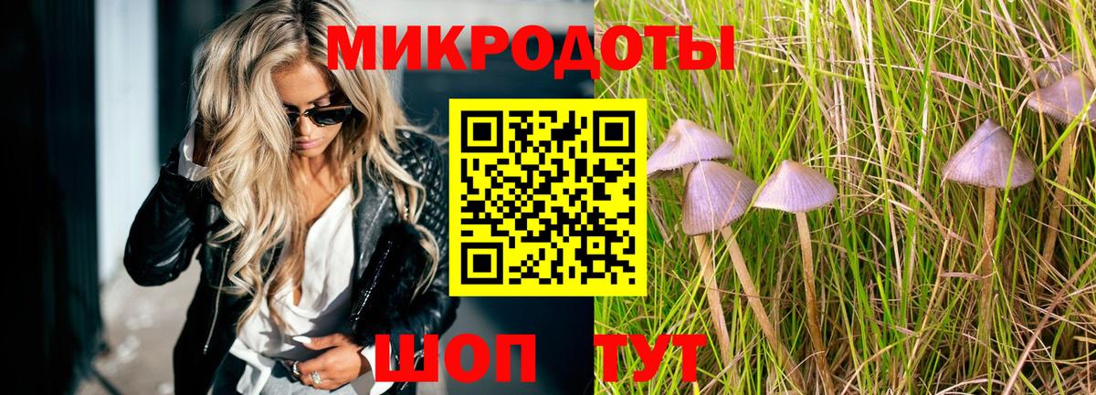 Чайковский  Псилоцибиновые грибы Psilocybine cubensis  Вход с VPN 
