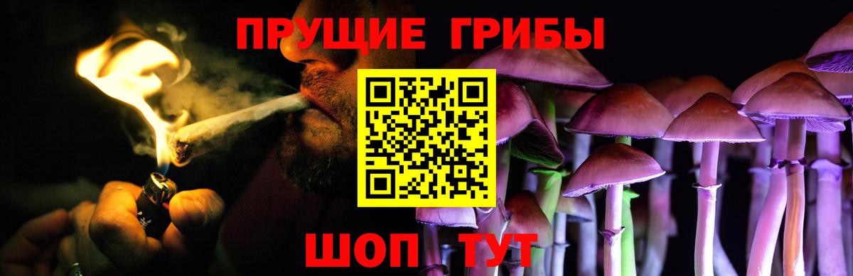 Галлюциногенные грибы Psilocybine cubensis Чайковский